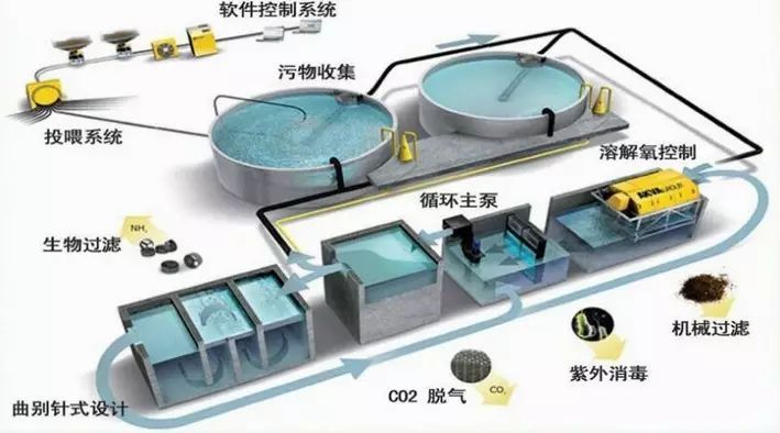 重磅!湖州市第一家國內領先的工廠化循環水設施漁業養殖項目開工建設